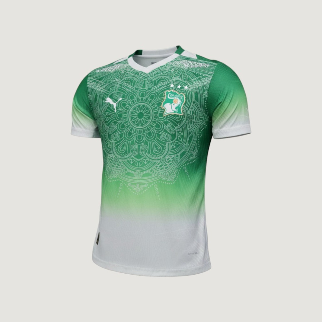 Côte d’Ivoire – Maillot Concept 2026 – Vert, Blanc