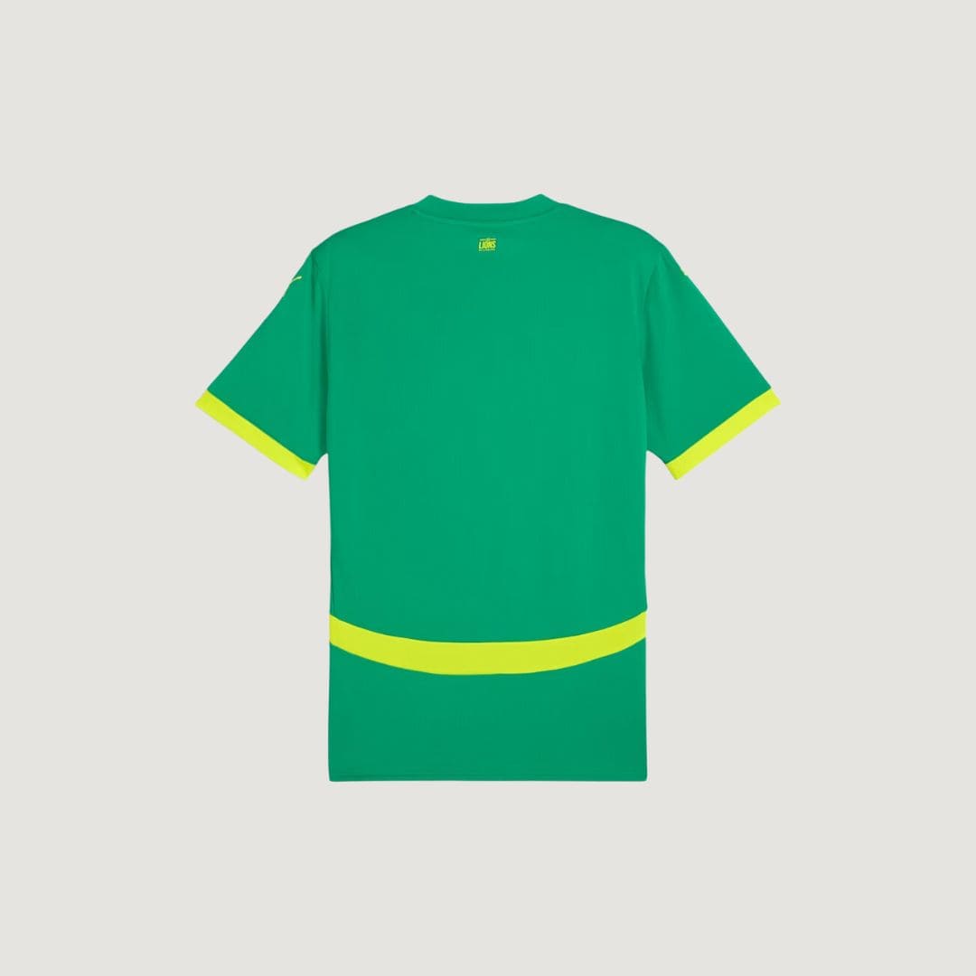 Sénégal - Maillot Extérieur 24/25 - Vert, Jaune - Covred