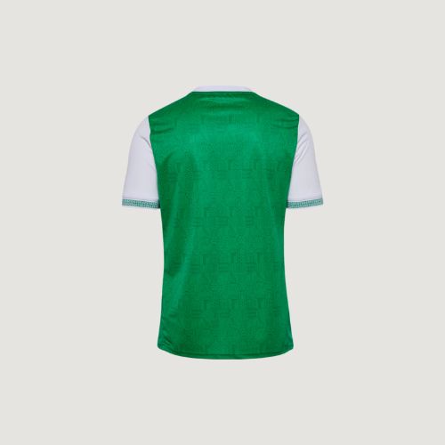 AS Saint-Étienne – Maillot Domicile 2025/26 – Vert/Blanc - Covred