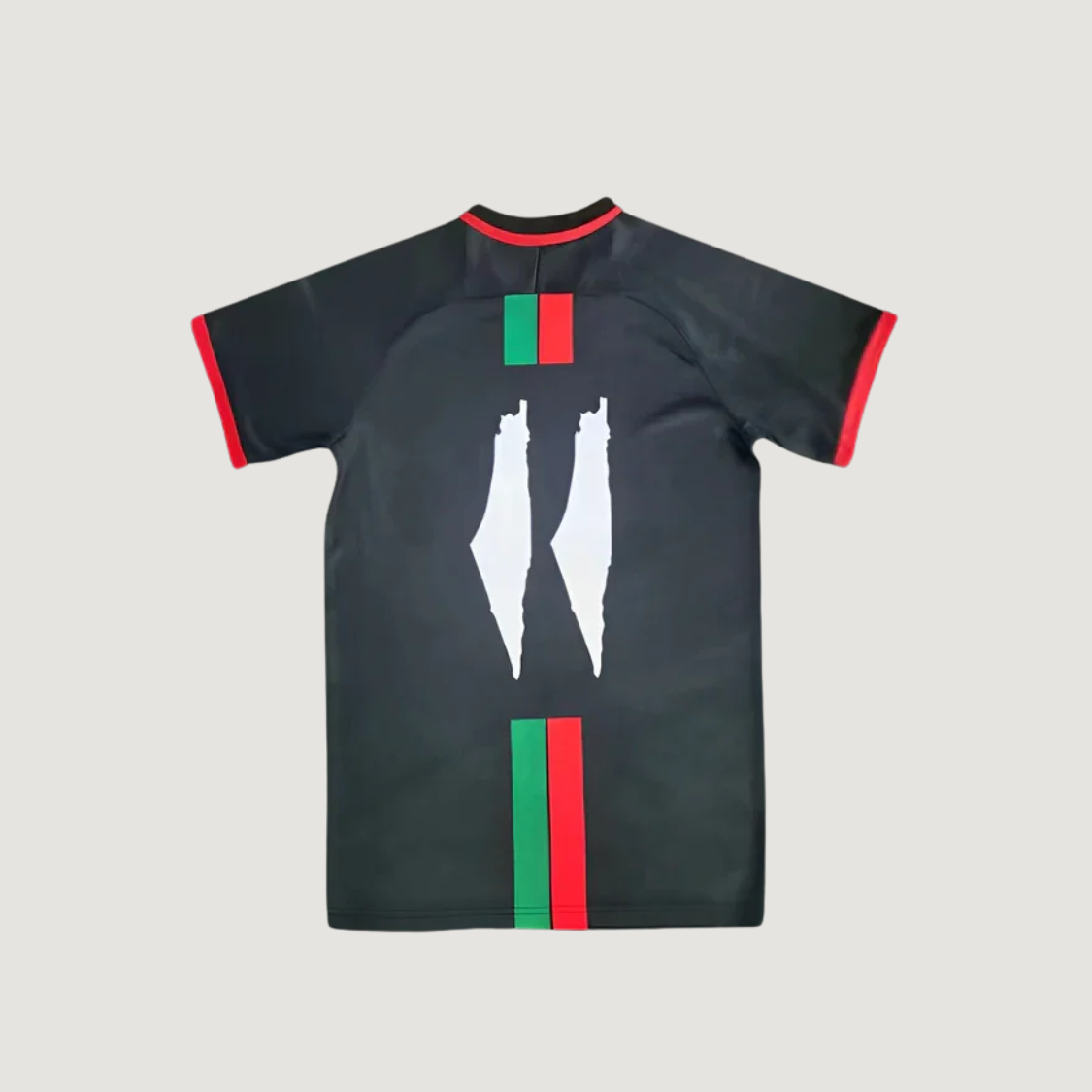 Palestine – Maillot Édition Spéciale 2023-2024 – Noir, Rouge, Vert, Blanc
