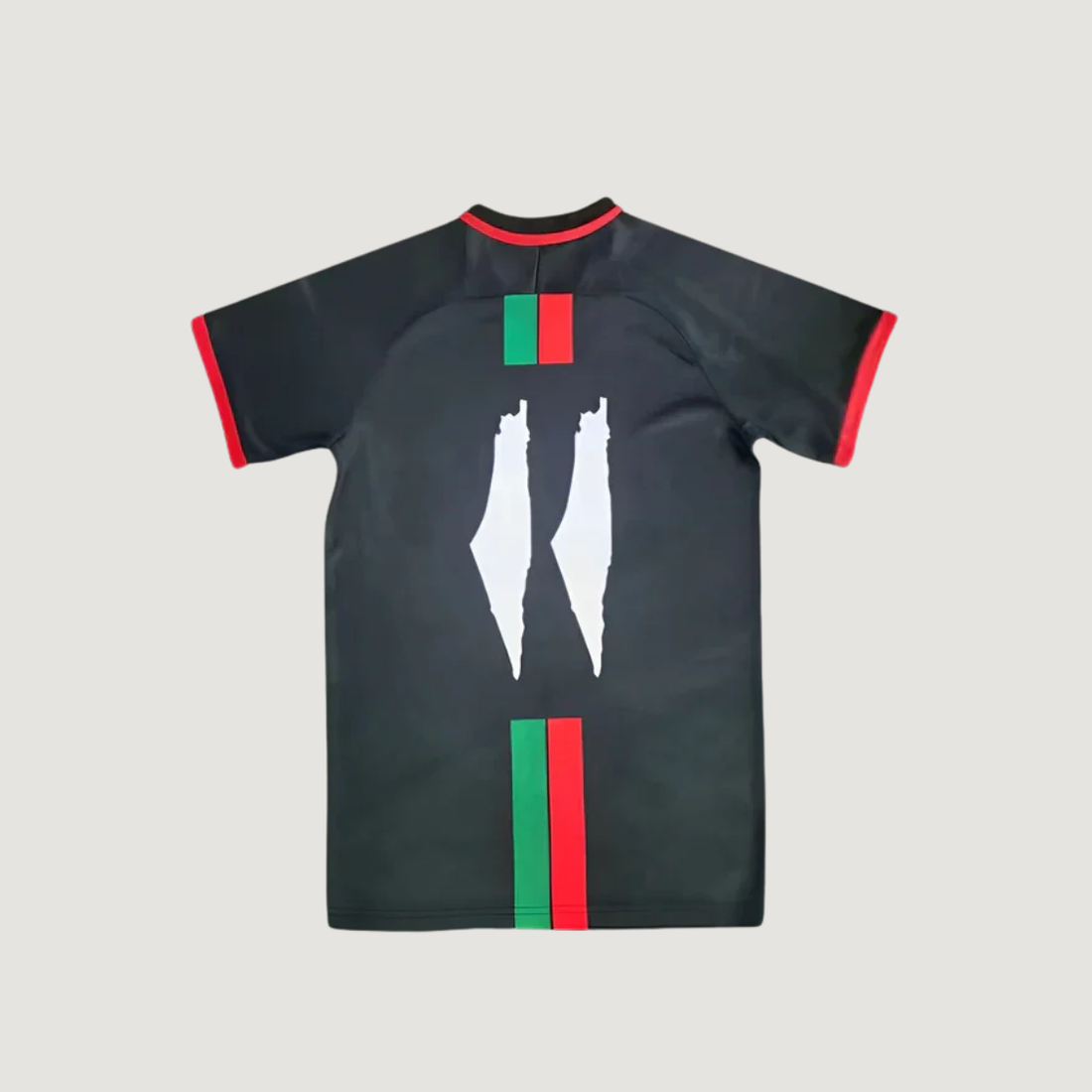 Palestine – Maillot Édition Spéciale 2023-2024 – Noir, Rouge, Vert, Blanc
