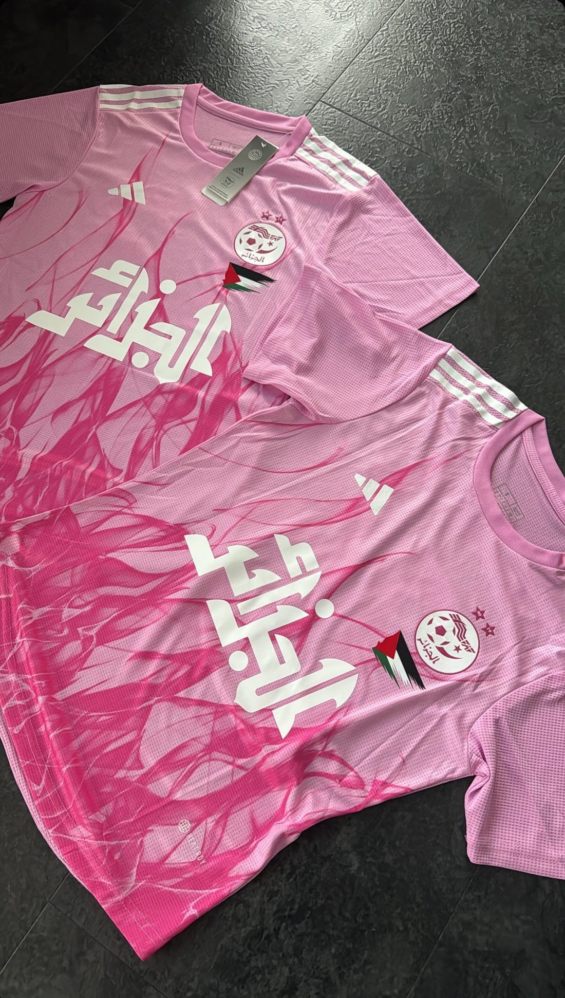 Algérie - Maillot Concept - Rose - Covred